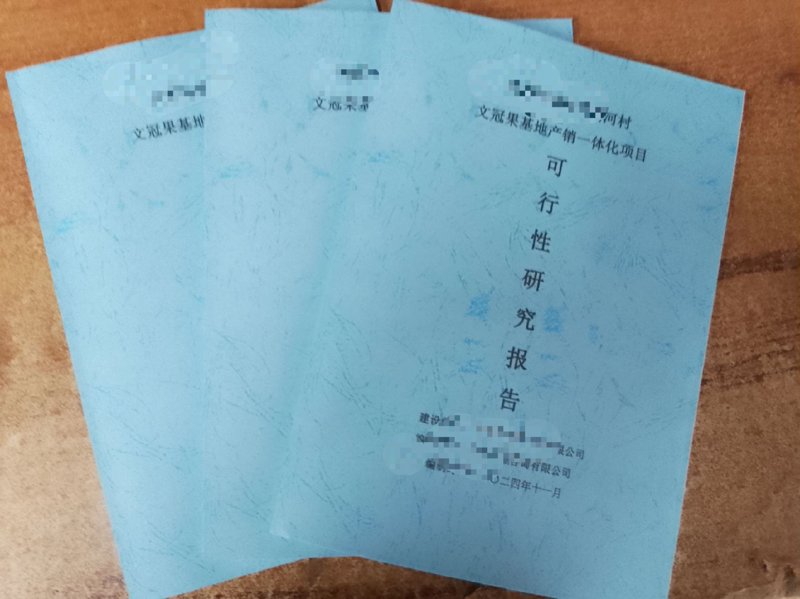 可行性研究报告:规划未来决策的利器